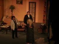 Přibyslav, Hadrián, Nájemníci pana Swana, 2011