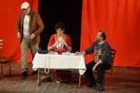 Boskovice, Ochotnické divadlo, Blbec k večeři, 2016