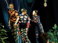 Ostrava-Poruba, Jitřenka, Příběh nejen tygří, CP Popelka Rakovník, 2001