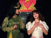 Plzeň, Divadelní spolek Jezírko, Koho si vezme čert, 2004