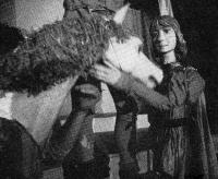 Písek, LS Nitka (skupina mladých), Pták Ohnivák a liška Ryška