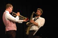 Plzeň, The Dixie Hot Licks, koncert, CP Divadelní Piknik Volyně 2018