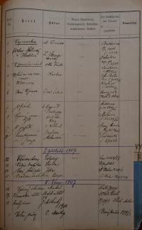 Hradec Králové, Okresní úřad, povolování představení, 1906 - 1919