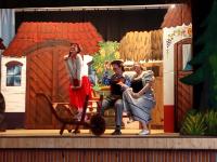 Zvěrkovice, Divadelní ochotnický soubor, Nevěsty z Moravy, 2017