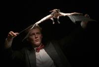 Praha, KALD DAMU, Din Opera, CP LCH 2021