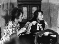 Volyně, Studio MěKS, Ryba ve čtyřech, JH 1981