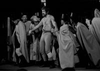 Brno, Dělnické divadlo, Příběh koně, Jiráskův Hronov 1982