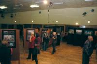 Libice nad Cidlinou, Malované opony, výstava 2010,  1