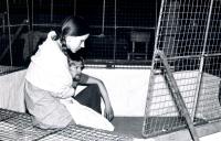 Praha, Anebdivadlo, …a jitra jsou zde tichá, CP FEMAD Poděbrady 1984