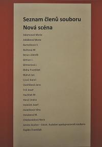 Lysá nad Labem, výstava DIVADLO JE PODIVUHODNÁ VĚC..., Členové Nové scény 1, výstavní panel, 2018