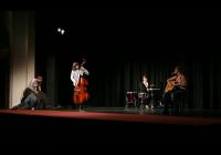 Poděbrady, Jiří, Krocan, 2010