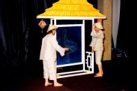 Nové Město na Moravě, Fanfuláci, Žlutý čáp, CP FEMAD Libice n. Cidl. 1995