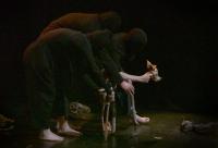 Slovensko, Bratislava, Korene a kosti, Sen o pralese, LCH 2025