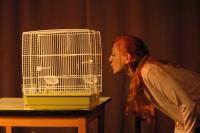 Nový Jičín, NJ Feat, Ptáci, CP Šrámkův Písek 2023