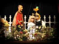 Plzeň, V boudě, Šípková Růženka, LCH 2009