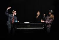 Hradec Králové, ZUŠ Střezina - Divadlo Jesličky, Zmrzlí vrabci, Muzikantské pohádky, CP Dětská scéna Svitavy 2013