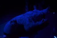 Náchod, J.S.T.E. Artyžok a D.R.E.D., Ikonanta, KP AUDIMAFOR Hradec Králové 2012