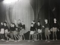 Brno, Mraveneček, Bleděmodrý Petr, 1985