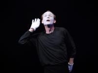 Olomouc, Dostál Václav, Noe, 2008