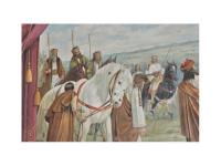 Bohuslavice, opona, detail bělouš s průstřely