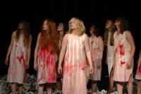 Německo-polsko-český div.projekt, Ozvěny minulosti, CP Jiráskův Hronov 2012