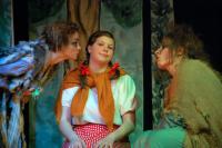 Libice nad Cidlinou, DS Vojan, Čarovný kámen, KP POPAD Praha 2014