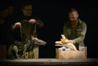 Liberec, Naiv div, Babička Červené Karkulky dnes slaví narozeniny, CP LCH 2022