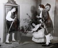 Třebíč, ZGK Borovina, Mirandolina