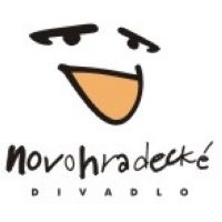 Hradec Králové, Novohradecké logo