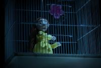 Jaroměř, Popcorn, Dcerky, LCH 2025