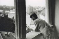 Chrudim, CP Loutkářská Chrudim, snímky z plenéru, 1995