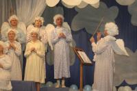 Janovice nad Úhlavou, Sokol, Janovické nebe, 2013