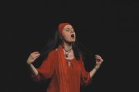 Jihlava, De Facto Mimo, Žijí mezi námi, CP Divadelní Piknik Volyně 2015