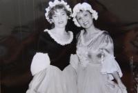 Třebíč, ZGK Borovina, Sněhurka a sedm mužíčků