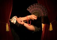 Plzeň, V Boudě, Ošklivá princezna, CP Loutkářská Chrudim 2019