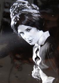 Třebíč, ZGK Borovina, Vassa Železnovová