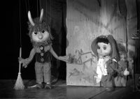 Cvikov, Klubíčko, Čertoviny, 2006