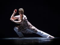 Jaroměř, Flash, Kde néní plot nemohou, 2008