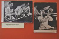 Lysá nad Labem, výstava DIVADLO JE PODIVUHODNÁ VĚC..., výstavní panel, 2018