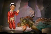 Vysoké nad Jizerou, LS Krakonoš, Začarovaný les, KDP 2024