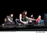 Praha 10, Patologické jahody, Jak to přišlo, 2010