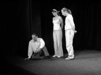 Plzeň, Divadlo Dialog/JakoHost, Takový malý žertík, 2008