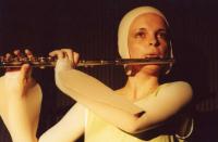 Těchonice, Zmrzlík, Ze života hmyzu, 2002