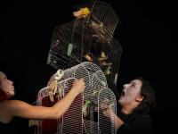 Roztoky, Tichý jelen, Richard 3, JH 2010