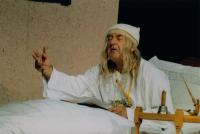 Ústí nad Orlicí, Vicena, Zdravý nemocný 2009