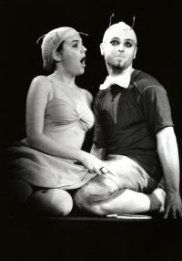 Liberec, Stopa, Ze života hmyzu, FEMAD Libice n. Cidl. 1999