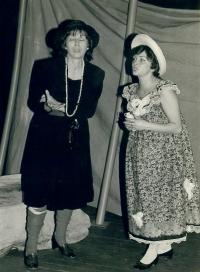 Hronov, MAJ, Ze života hmyzu, 1982