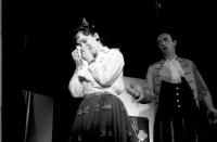 Horšovský Týn, Osvětová beseda, Čertův švagr, 1990