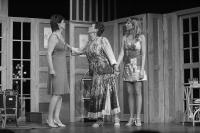 Libice nad Cidlinou, Vojan, Prázdniny snů, 2009