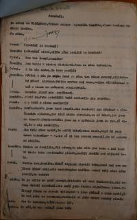 Vitiněves, SDO, Vzpoura ve Vitiněvsi, scénář, 1934